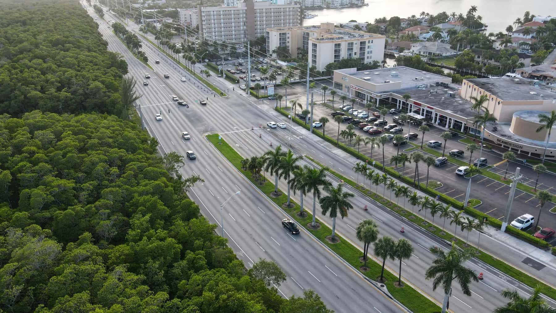 Aerial view of a palm-lined boulevard beside a shopping center and its parking lot in South Florida