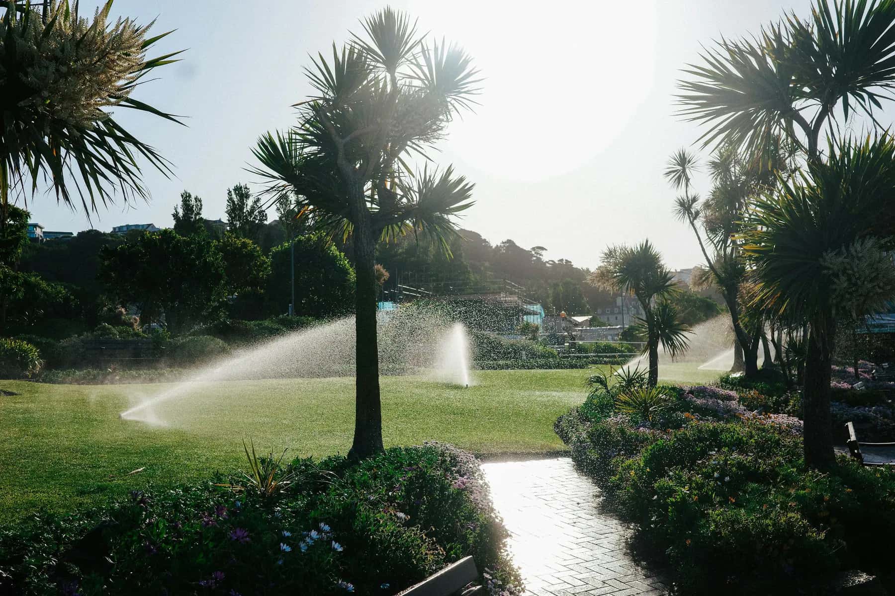 Pop-up sprinklers watering turf and planting beds around palm-like trees in a sunny park