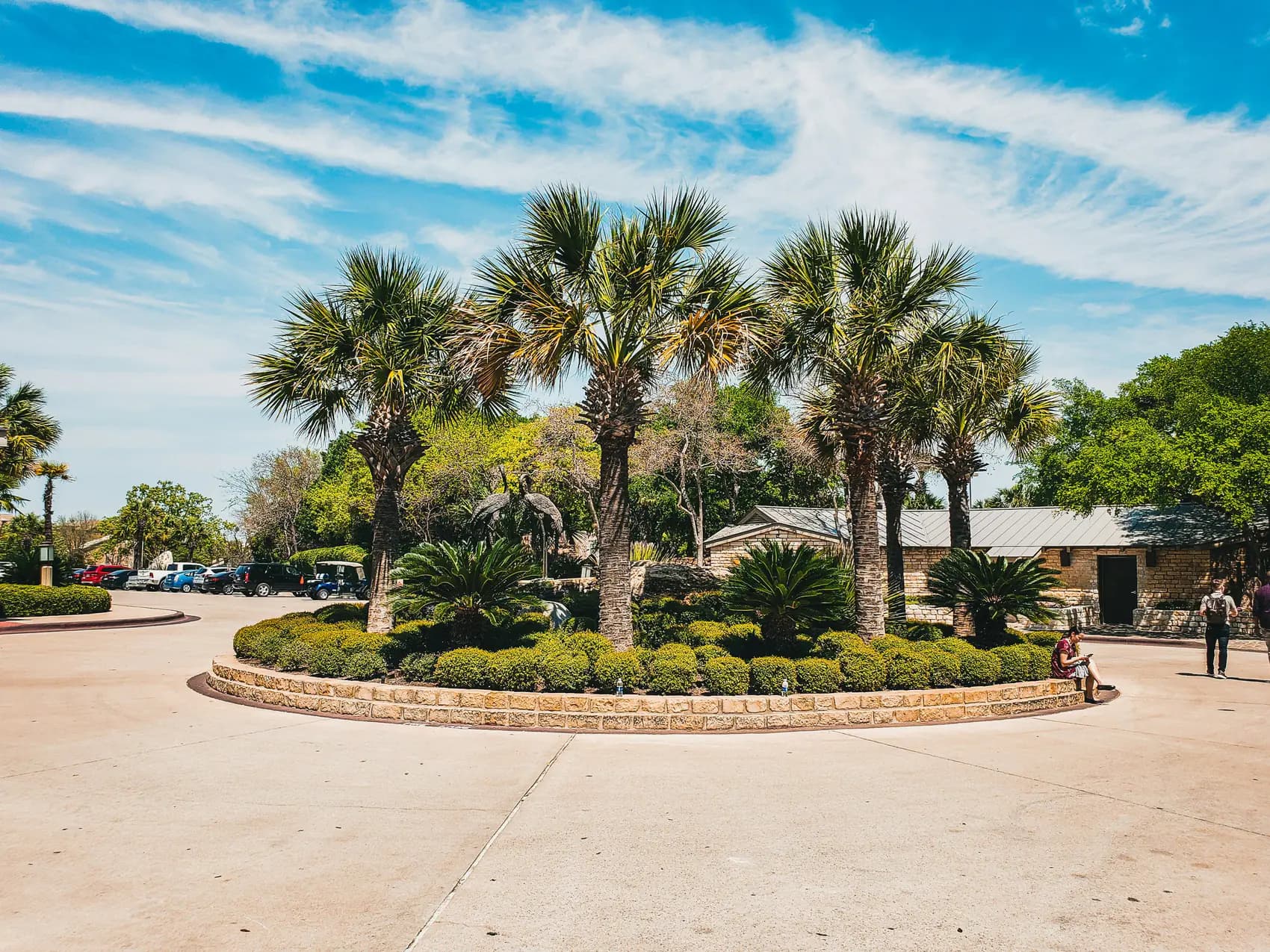 Landscaped traffic circle with sabal palms, cycads and trimmed shrubs in a stone-edged bed under a blue sky